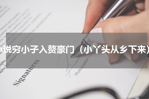 小说穷小子入赘豪门（小丫头从乡下来）