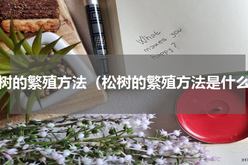 松树的繁殖方法（松树的繁殖方法是什么）