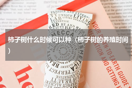 柿子树什么时候可以种（柿子树的养殖时间）