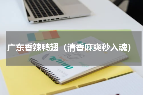 广东香辣鸭翅（清香麻爽秒入魂）