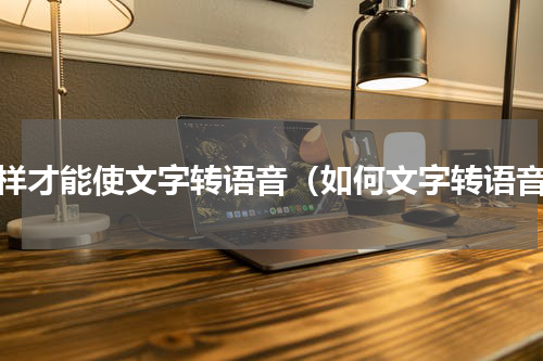 怎样才能使文字转语音（如何文字转语音）