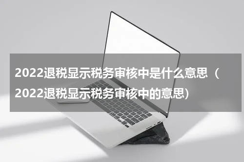 2022退税显示税务审核中是什么意思（2022退税显示税务审核中的意思）