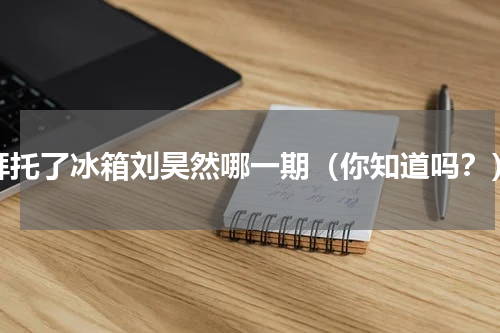 拜托了冰箱刘昊然哪一期（你知道吗？）