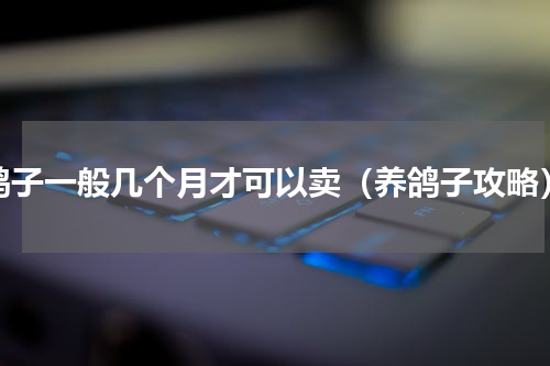 鸽子一般几个月才可以卖（养鸽子攻略）