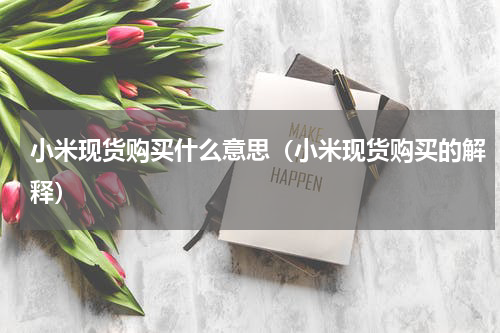 小米现货购买什么意思（小米现货购买的解释）
