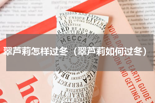 翠芦莉怎样过冬（翠芦莉如何过冬）
