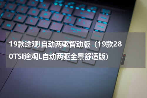 19款途观l自动两驱智动版（19款280TSI途观L自动两驱全景舒适版）