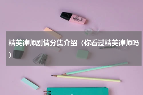 精英律师剧情分集介绍（你看过精英律师吗）