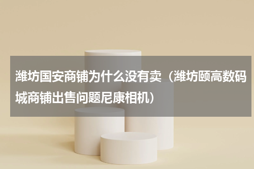潍坊国安商铺为什么没有卖（潍坊颐高数码城商铺出售问题尼康相机）