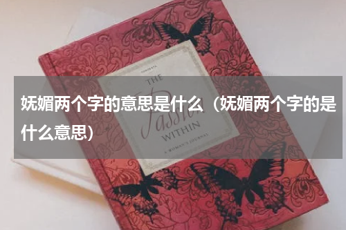 妩媚两个字的意思是什么（妩媚两个字的是什么意思）