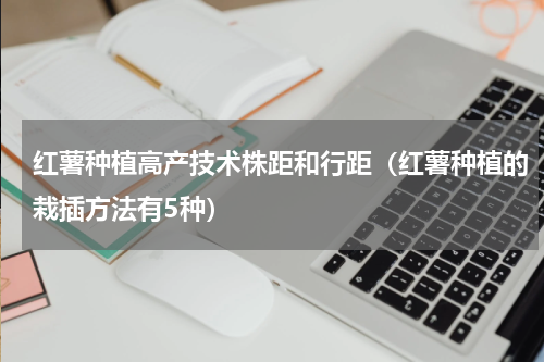 红薯种植高产技术株距和行距（红薯种植的栽插方法有5种）