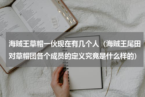海贼王草帽一伙现在有几个人（海贼王尾田对草帽团各个成员的定义究竟是什么样的）