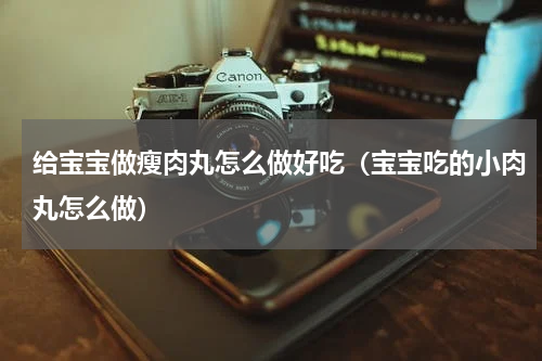 给宝宝做瘦肉丸怎么做好吃（宝宝吃的小肉丸怎么做）