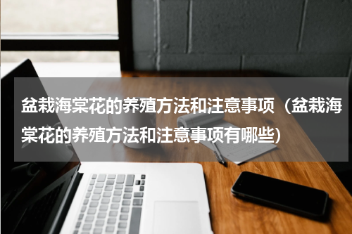 盆栽海棠花的养殖方法和注意事项（盆栽海棠花的养殖方法和注意事项有哪些）