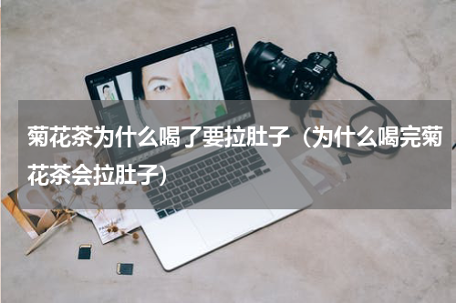 菊花茶为什么喝了要拉肚子（为什么喝完菊花茶会拉肚子）