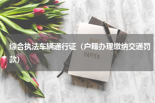 综合执法车辆通行证（户籍办理缴纳交通罚款）