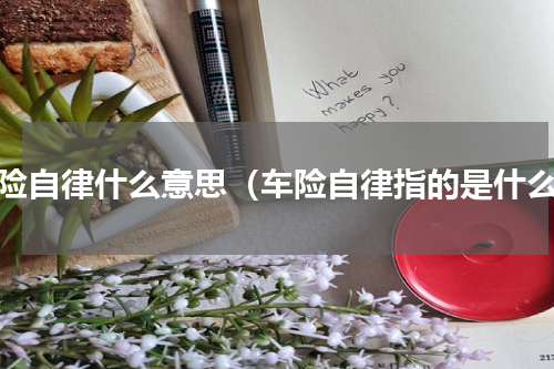 车险自律什么意思（车险自律指的是什么）