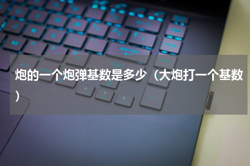 炮的一个炮弹基数是多少（大炮打一个基数）