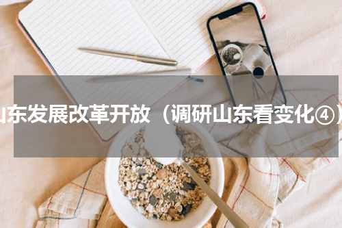 山东发展改革开放（调研山东看变化④）