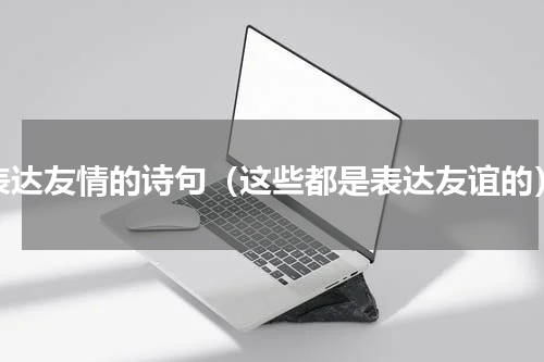 表达友情的诗句（这些都是表达友谊的）