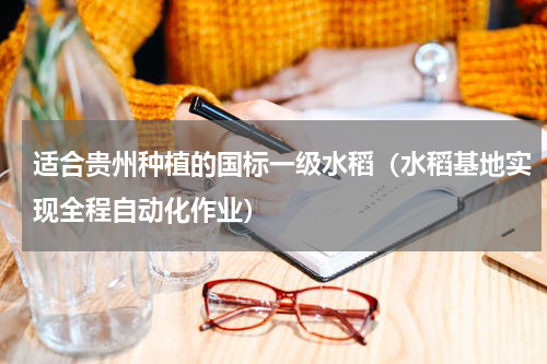 适合贵州种植的国标一级水稻（水稻基地实现全程自动化作业）