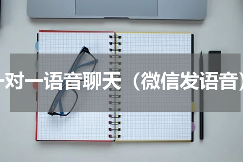 一对一语音聊天（微信发语音）