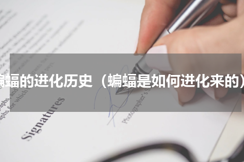 蝙蝠的进化历史（蝙蝠是如何进化来的）