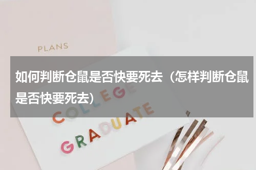 如何判断仓鼠是否快要死去（怎样判断仓鼠是否快要死去）