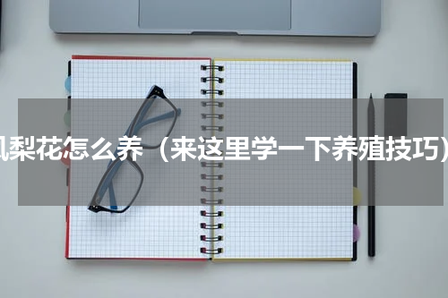 凤梨花怎么养（来这里学一下养殖技巧）