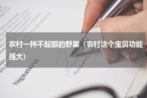 农村一种不起眼的野果（农村这个宝贝功能强大）