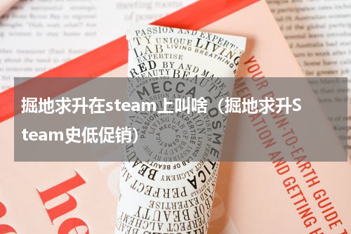掘地求升在steam上叫啥（掘地求升Steam史低促销）