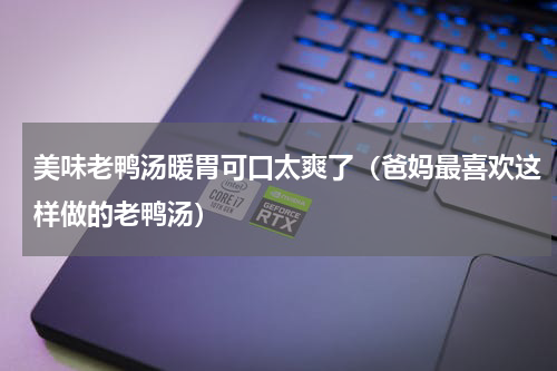 美味老鸭汤暖胃可口太爽了（爸妈最喜欢这样做的老鸭汤）