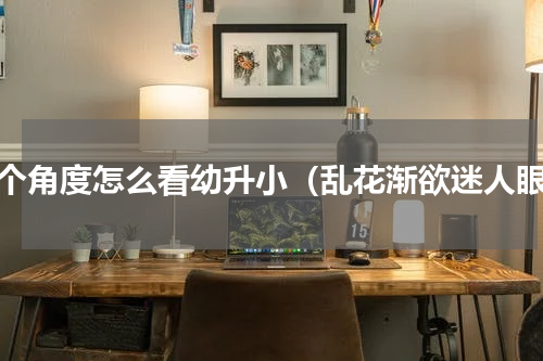 换个角度怎么看幼升小（乱花渐欲迷人眼）