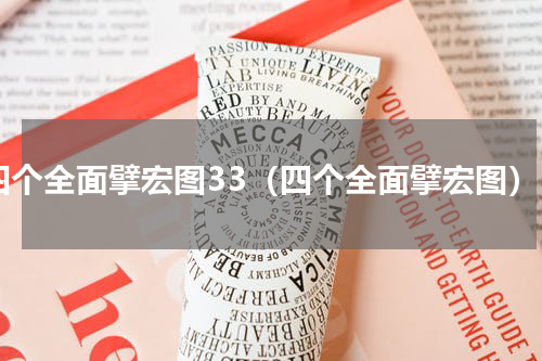 四个全面擘宏图33（四个全面擘宏图）