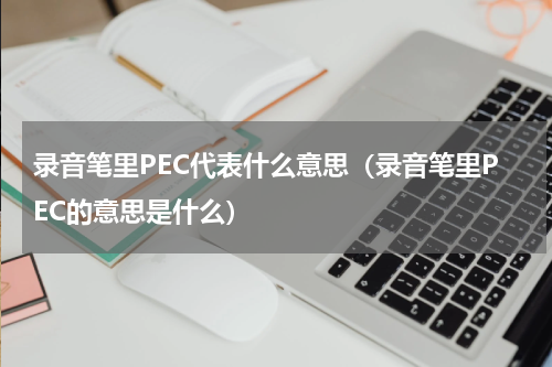 录音笔里PEC代表什么意思（录音笔里PEC的意思是什么）