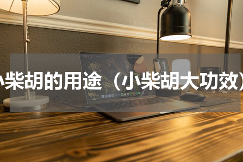 小柴胡的用途（小柴胡大功效）