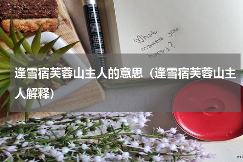 逢雪宿芙蓉山主人的意思（逢雪宿芙蓉山主人解释）
