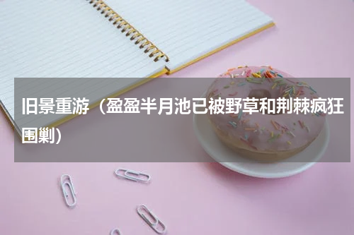 旧景重游（盈盈半月池已被野草和荆棘疯狂围剿）