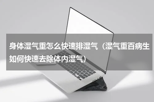 身体湿气重怎么快速排湿气（湿气重百病生如何快速去除体内湿气）