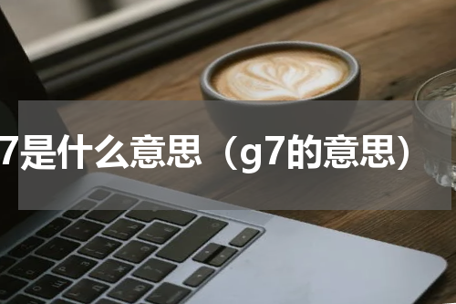 g7是什么意思（g7的意思）