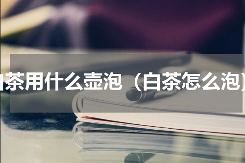 白茶用什么壶泡（白茶怎么泡）