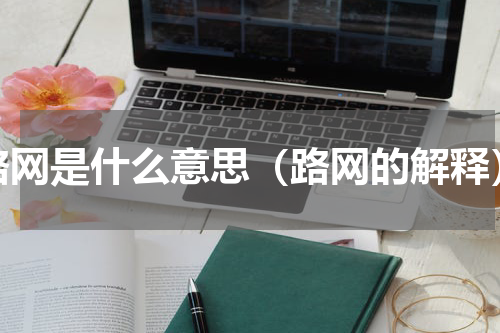 路网是什么意思（路网的解释）