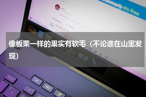 像板栗一样的果实有软毛（不论谁在山里发现）