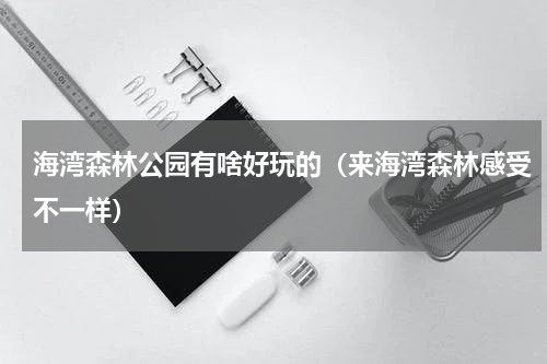 海湾森林公园有啥好玩的（来海湾森林感受不一样）