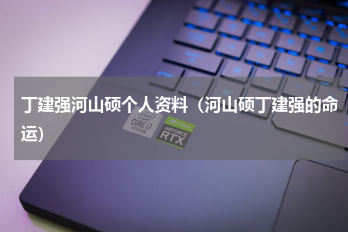 丁建强河山硕个人资料（河山硕丁建强的命运）