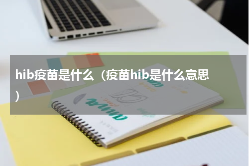 hib疫苗是什么（疫苗hib是什么意思）