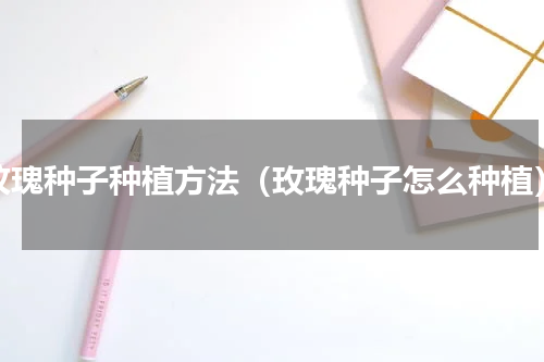 玟瑰种子种植方法（玫瑰种子怎么种植）