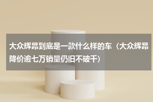 大众辉昂到底是一款什么样的车（大众辉昂降价逾七万销量仍旧不破千）