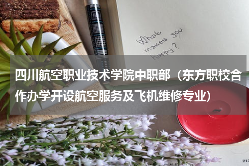 四川航空职业技术学院中职部（东方职校合作办学开设航空服务及飞机维修专业）