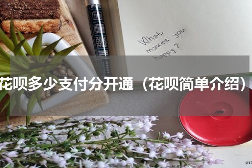 花呗多少支付分开通（花呗简单介绍）